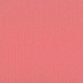 202255 Chestnut Rose