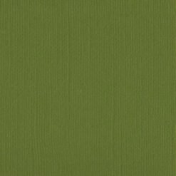 205524 Weeping Willow