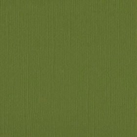 205524 Weeping Willow