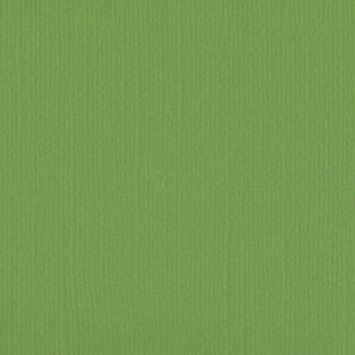 205558 Asparagus
