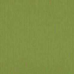 205560 Wasabi