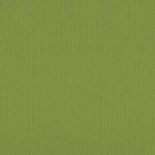 205560 Wasabi