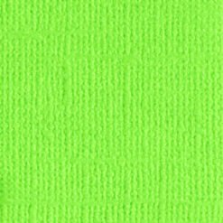 205563 Lime