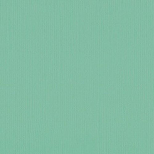 205592 Magic Mint