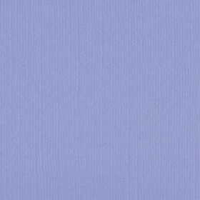 206641 Grape Compote