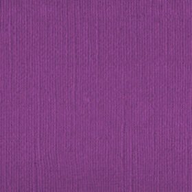 206650 Very Vivid Voilet