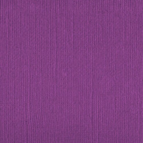 206650 Very Vivid Voilet