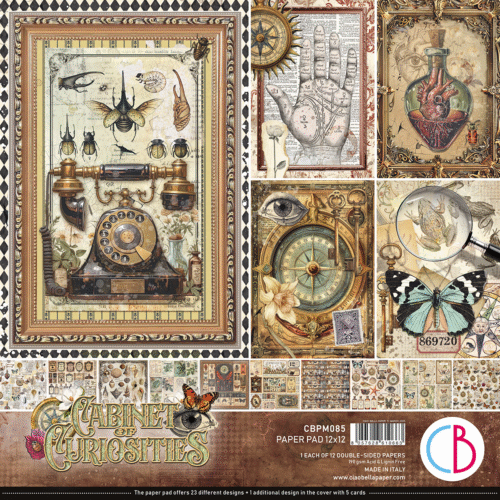Cabinet of curiosities Patterns Pad 12"x12" 12/Pkg