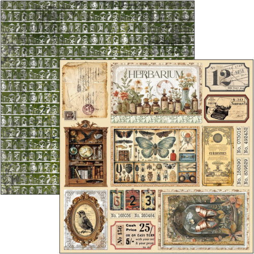 Cabinet of curiosities Patterns Pad 12"x12" 12/Pkg - Image 13