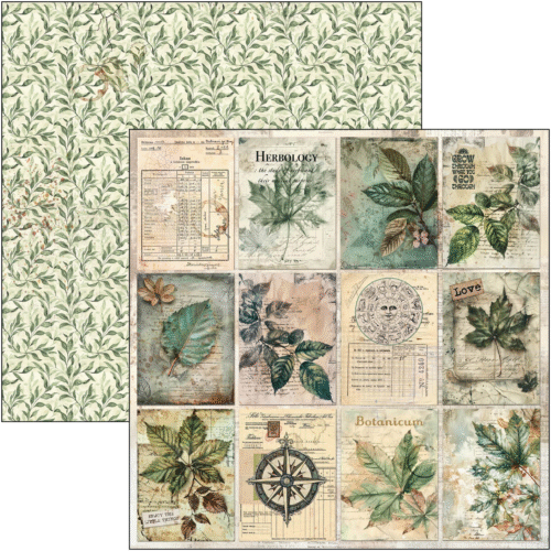 Cabinet of curiosities Patterns Pad 12"x12" 12/Pkg - Image 7