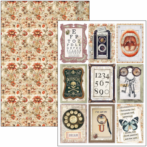 Cabinet of curiosities Creative Pad A4 9/Pkg - Image 10