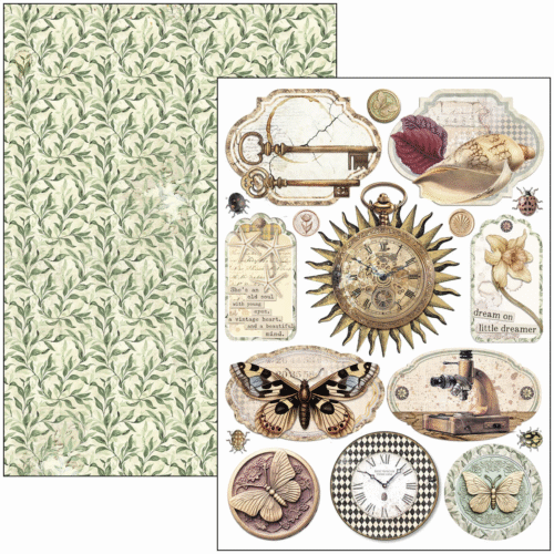 Cabinet of curiosities Creative Pad A4 9/Pkg - Image 3