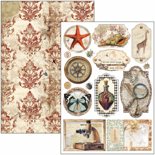Cabinet of curiosities Creative Pad A4 9/Pkg - Image 4
