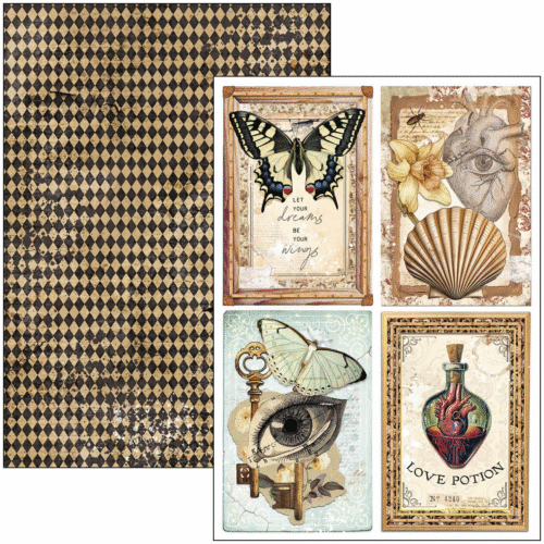 Cabinet of curiosities Creative Pad A4 9/Pkg - Image 5