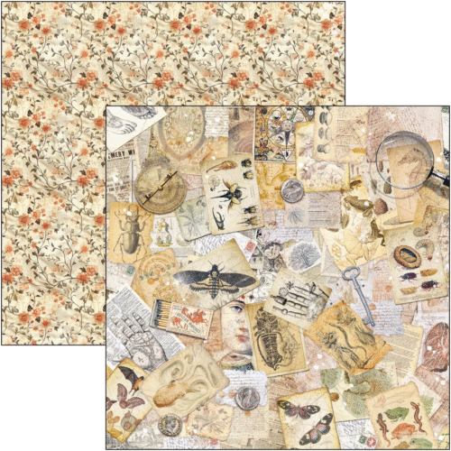 Cabinet of curiosities Pad 8"x8" 12/Pkg - Image 3