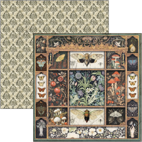Cabinet of curiosities Pad 8"x8" 12/Pkg - Image 4