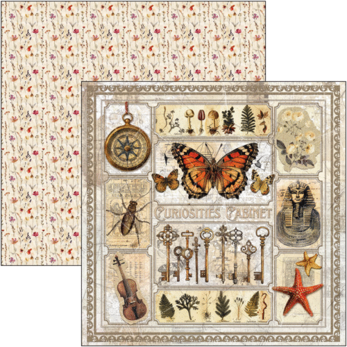 Cabinet of curiosities Pad 8"x8" 12/Pkg - Image 5