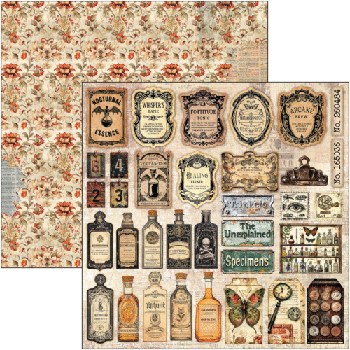 Cabinet of curiosities Pad 8"x8" 12/Pkg - Image 6