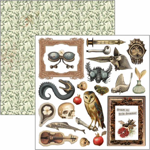 Cabinet of curiosities Fussy Cut Pad 6"x6" 24/Pkg - Image 3