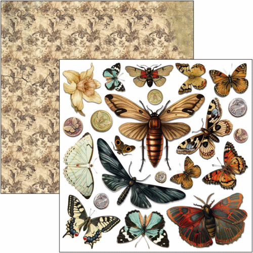 Cabinet of curiosities Fussy Cut Pad 6"x6" 24/Pkg - Image 4