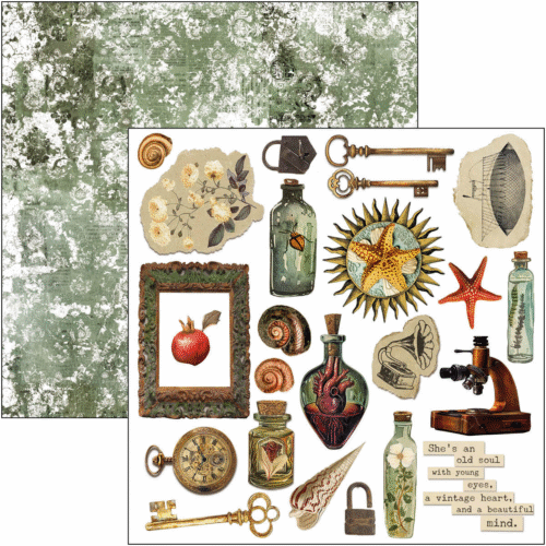Cabinet of curiosities Fussy Cut Pad 6"x6" 24/Pkg - Image 5
