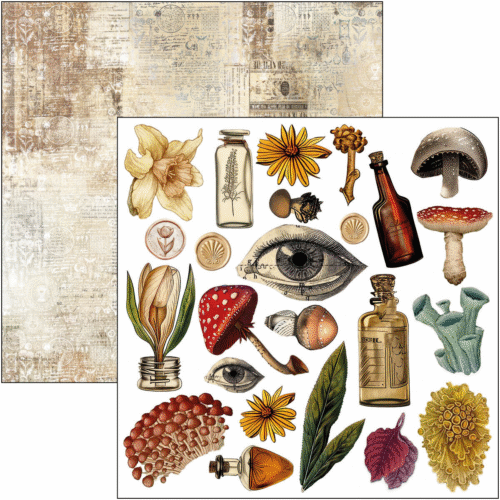 Cabinet of curiosities Fussy Cut Pad 6"x6" 24/Pkg - Image 6