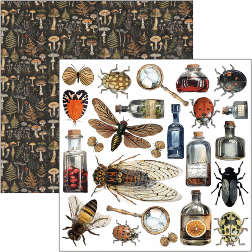 Cabinet of curiosities Fussy Cut Pad 6"x6" 24/Pkg - Image 8