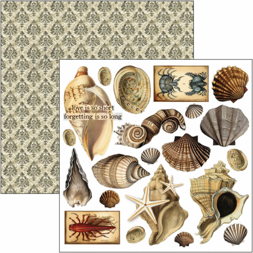 Cabinet of curiosities Fussy Cut Pad 6"x6" 24/Pkg - Image 9