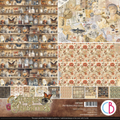 Cabinet of curiosities Patterns Pad 12"x12" 8/Pkg