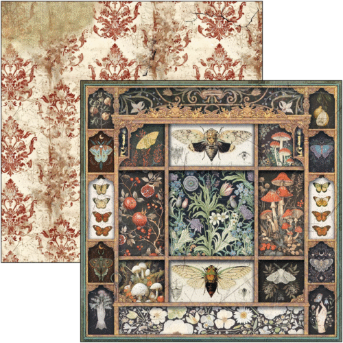 Cabinet of curiosities Patterns Pad 12"x12" 8/Pkg - Image 3