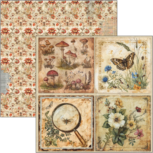Cabinet of curiosities Patterns Pad 12"x12" 8/Pkg - Image 5