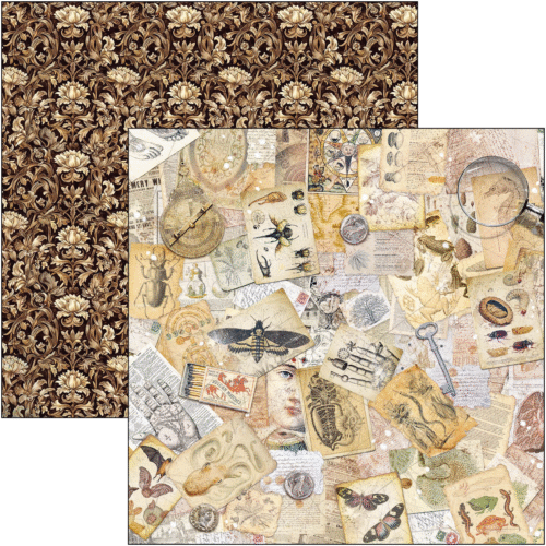Cabinet of curiosities Patterns Pad 12"x12" 8/Pkg - Image 6