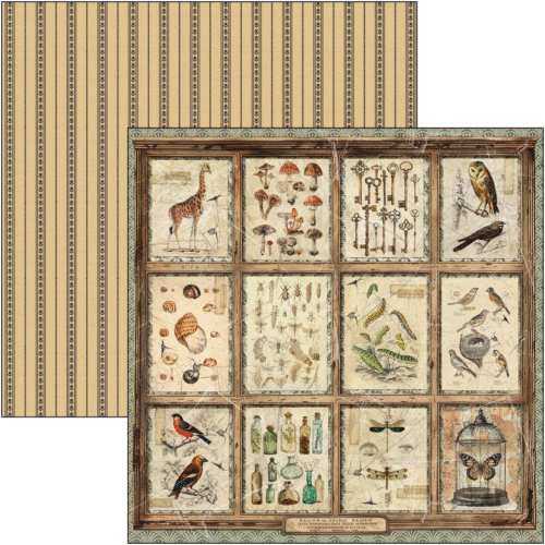 Cabinet of curiosities Patterns Pad 12"x12" 8/Pkg - Image 7