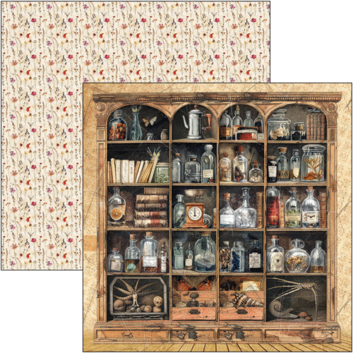 Cabinet of curiosities Patterns Pad 12"x12" 8/Pkg - Image 9