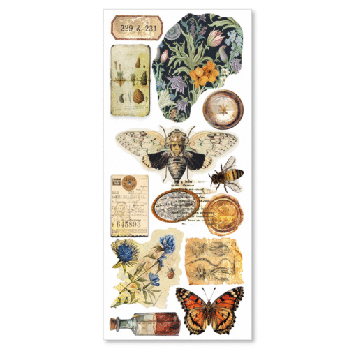 Art Stickers Cabinet of curiosities 5/Pkg - Image 4
