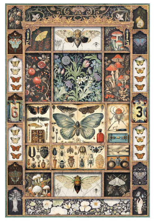 Rice Paper A4 MIXED 4/Pkg Cabinet of curiosites - Image 5