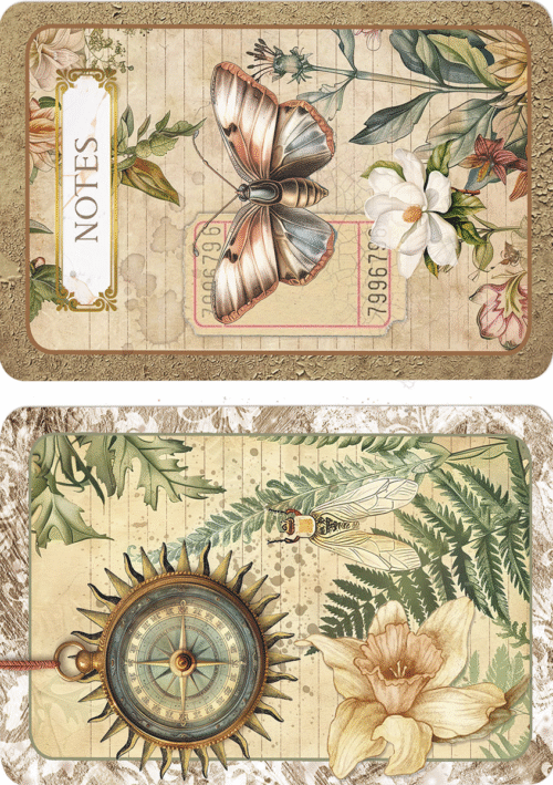 Rice Paper A5 MIXED 8/Pkg Cabinet of curiosities - Image 6