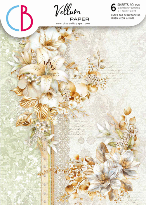 Blessing Day Vellum Paper Patterns A4 6/Pkg