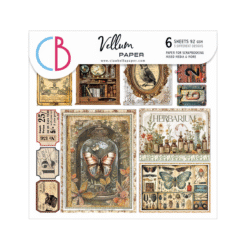 Cabinet of curiosities Vellum Fussy Cut 6"x6" 6/Pkg