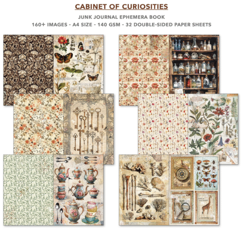 Ephemera Book Cabinet of Curiosities A4 32/Pkg - Image 6