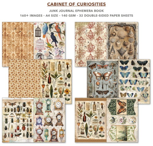 Ephemera Book Cabinet of Curiosities A4 32/Pkg - Image 5