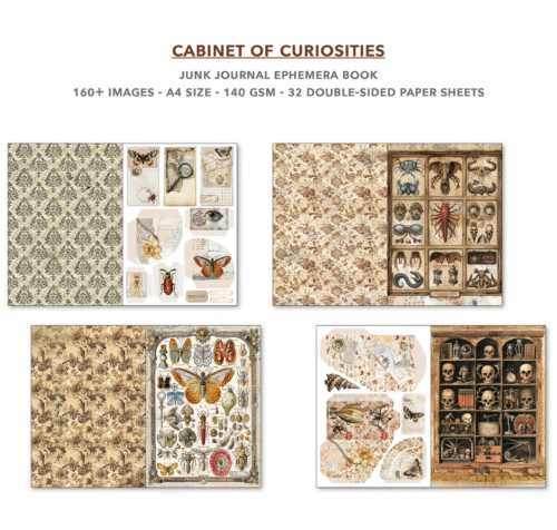 Ephemera Book Cabinet of Curiosities A4 32/Pkg - Image 4