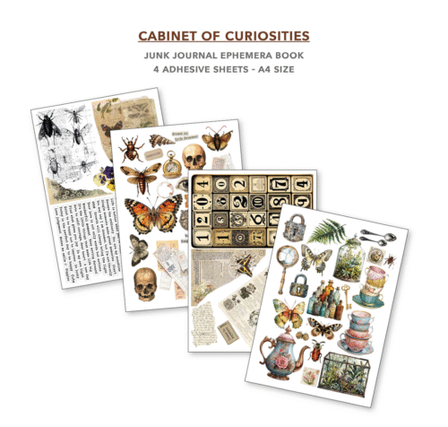 Ephemera Book Cabinet of Curiosities A4 32/Pkg - Image 3