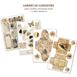 Alternative view of Ephemera Book Cabinet of Curiosities A4 32/Pkg