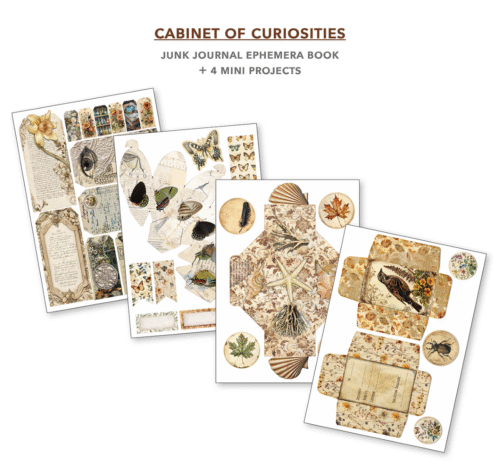 Ephemera Book Cabinet of Curiosities A4 32/Pkg - Image 2
