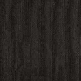 2010156 Real Raven Black