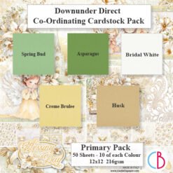 Blessings Day Cardstock Primary Pack
