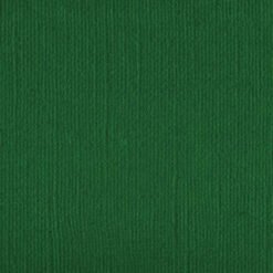 HL100500 Garden Green 250gsm