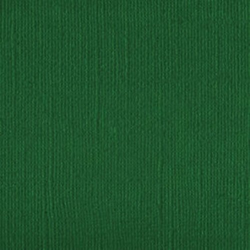 HL100500 Garden Green 250gsm