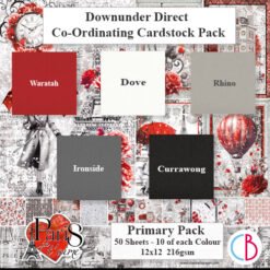 Paris Je T'aime Cardstock Primary Pack